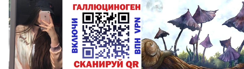 Галлюциногенные грибы GOLDEN TEACHER Миллерово