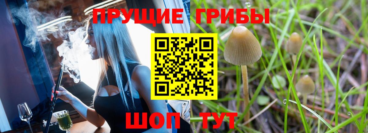 Миллерово  Галлюциногенные грибы GOLDEN TEACHER  Вход с VPN  Галлюциногенные грибы мицелий 